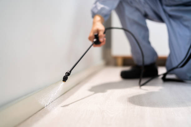 Licensed Pest Control service in USA - Show Me Pest Control
