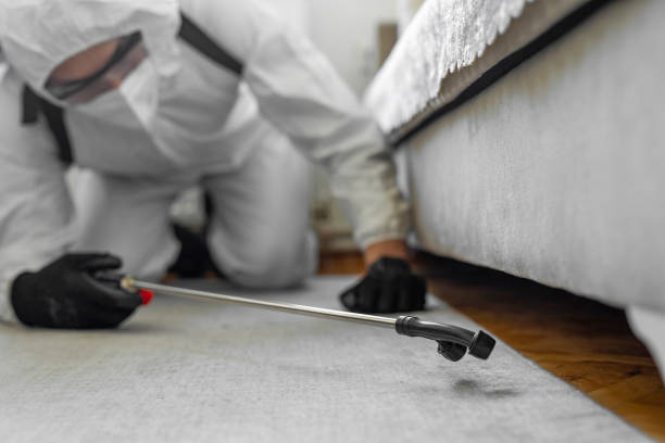 Professional Pest Control technician working in USA